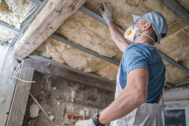 Best Insulation Installation Cost  in Wintersville, OH