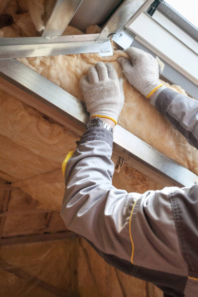 Best Insulation Removal Services  in Wintersville, OH