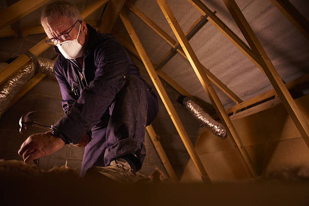 Best Home Insulation Services  in Wintersville, OH